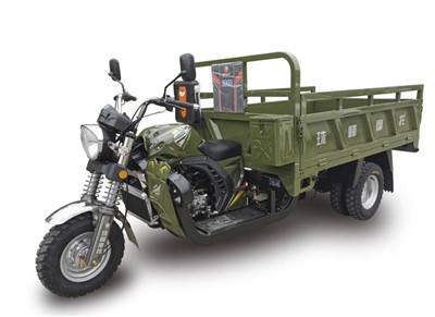 Triciclete electrice 3 roți